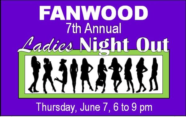 7th annual ladiesnight out graphic